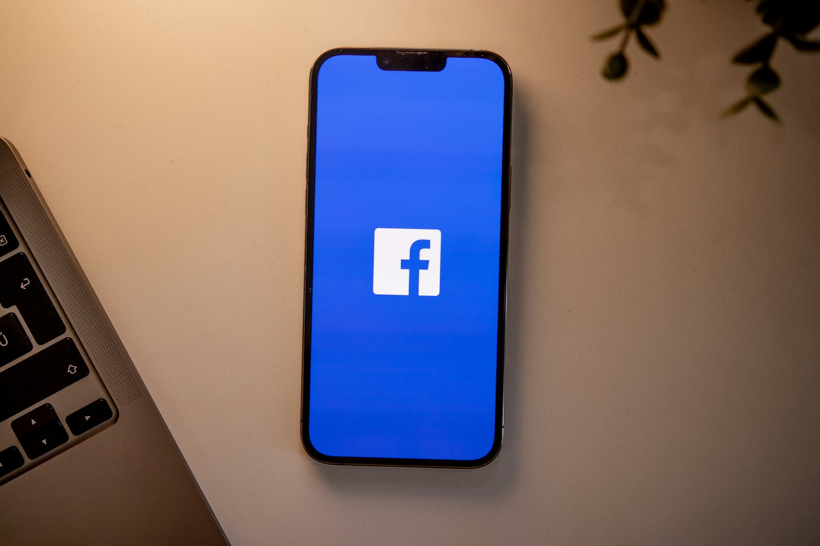 Facebook Private Viewer Without an Account Explained in Detail